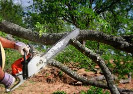 Best Leaf Removal  in Red Oak, NC